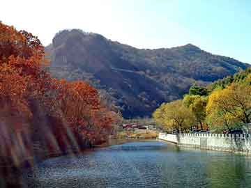 澳门天天开奖免费资料，黄叶村